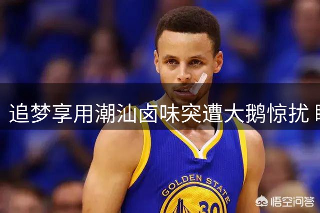 追梦享用潮汕卤味突遭大鹅惊扰 瞬间蹦起场面滑稽
